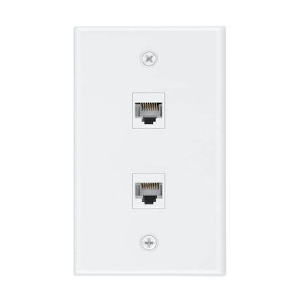 Dylux 2-Port Cat6 Female to Female Wall Plate -  High-Speed Network Ports