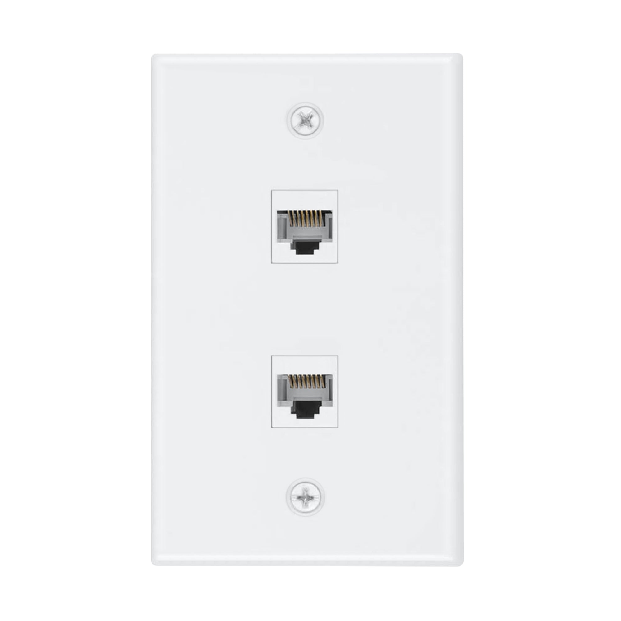 Dylux 2-Port Cat6 Female to Female Wall Plate -  High-Speed Network Ports