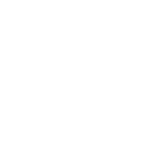 Customer-First